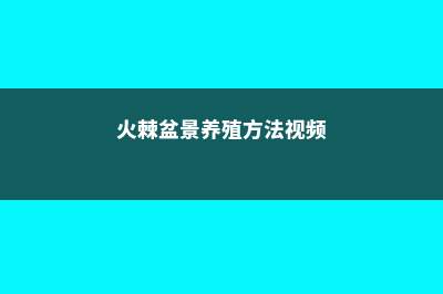 火棘盆景养殖方法 (火棘盆景养殖方法视频)