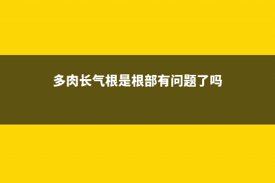 多肉长气根是什么原因，怎么办 (多肉长气根是根部有问题了吗)