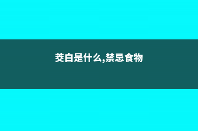 茭白是什么，禁忌、功效与作用 (茭白是什么,禁忌食物)