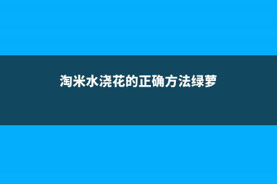 淘米水浇花的正确方法 (淘米水浇花的正确方法绿萝)