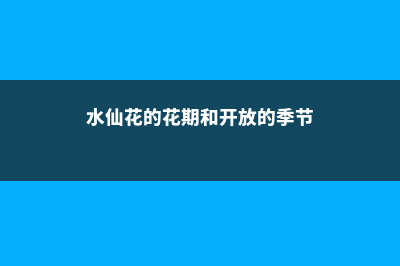 水仙花的花期时间，如何延长花期 (水仙花的花期和开放的季节)