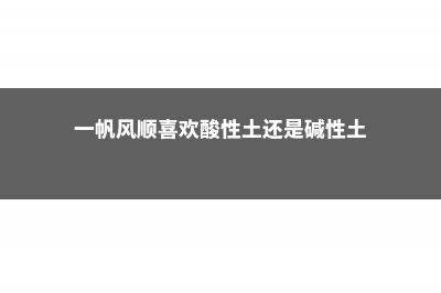 一帆风顺喜欢酸性还是碱性，一帆风顺能在北方养吗 (一帆风顺喜欢酸性土还是碱性土)