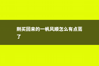 刚买回来的一帆风顺花该怎么换盆，换盆后有黄叶正常吗 (刚买回来的一帆风顺怎么有点蔫了)