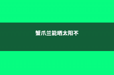 冬天蟹爪兰能晒太阳吗，冬天能换盆吗 (蟹爪兰能晒太阳不)