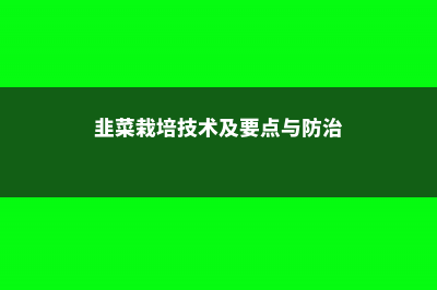 韭菜栽培技术及要点，韭菜栽培时间 (韭菜栽培技术及要点与防治)