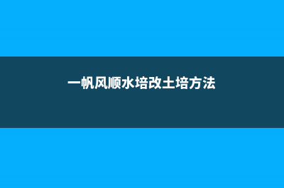 一帆风顺水培改土培的方法，土培一帆风顺的养护方法 (一帆风顺水培改土培方法)