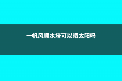 一帆风顺能水培养吗，水培养护方法 (一帆风顺水培可以晒太阳吗)