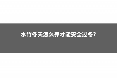 水竹冬天怎么养不会死 (水竹冬天怎么养才能安全过冬?)