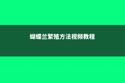 蝴蝶兰繁殖有哪些方法，繁殖方式 (蝴蝶兰繁殖方法视频教程)