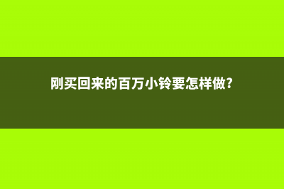 新买的百万小铃怎么养 (刚买回来的百万小铃要怎样做?)