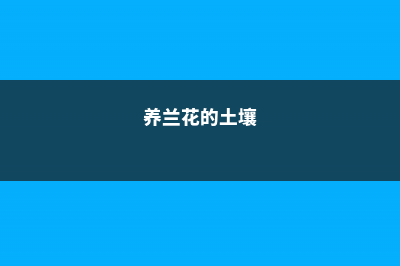 养殖兰花的土有啥要求，用泥土可以种兰花吗 (养兰花的土壤)