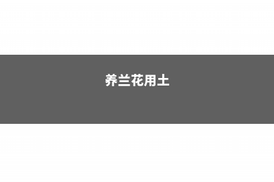 养兰花是园土好还是腐殖土好，土壤怎么配好 (养兰花用土)