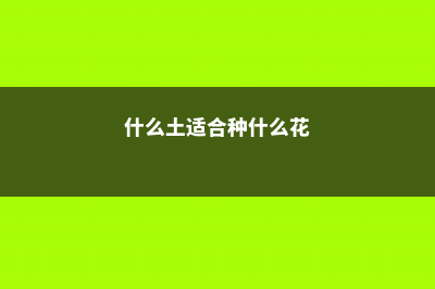 什么土适合家里养兰花，能用黄泥种兰花吗 (什么土适合种什么花)