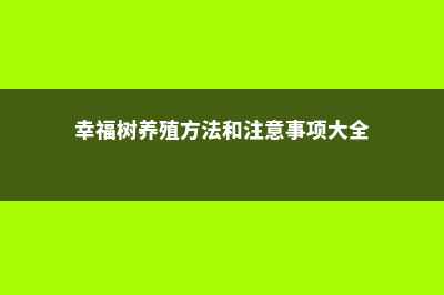 幸福树养殖方法和注意事项，幸福树图片 (幸福树养殖方法和注意事项大全)