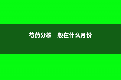 芍药分株一般在什么时间，芍药分株繁殖 (芍药分株一般在什么月份)