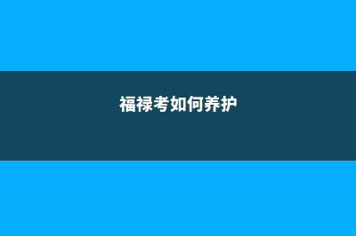 新买的福禄考怎么养 (福禄考如何养护)