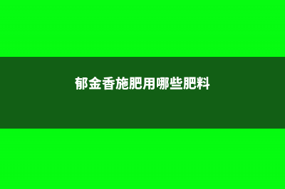 郁金香施肥用哪个肥料，郁金香什么时候施肥 (郁金香施肥用哪些肥料)