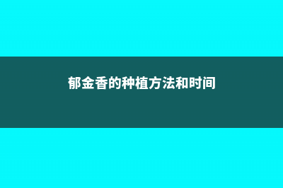 郁金香如何繁殖，郁金香主要繁殖方式 (郁金香的种植方法和时间)