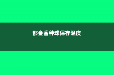 郁金香种球保存方法，郁金香种球怎么种植 (郁金香种球保存温度)