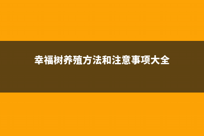 幸福树养殖方法，幸福树怎么养活 (幸福树养殖方法和注意事项大全)