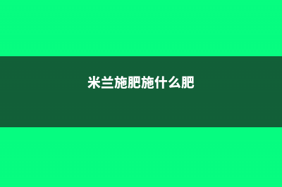 米兰施肥需施什么肥料，米兰施肥方法 (米兰施肥施什么肥)