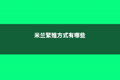 米兰繁殖方式，米兰如何繁殖 (米兰繁殖方式有哪些)