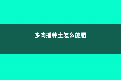 多肉播种土怎么配，种多肉的植料 (多肉播种土怎么施肥)