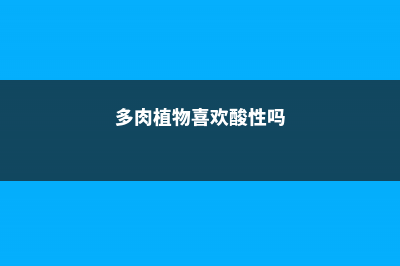 多肉喜欢酸性还是碱性土壤，白醋喷多肉 (多肉植物喜欢酸性吗)