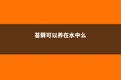 苔藓可以养在水中么，能放在鱼缸里吗 (苔藓可以养在水中么)