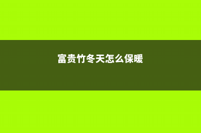 富贵竹冬天怎么养不会死，富贵竹过冬技巧 (富贵竹冬天怎么保暖)