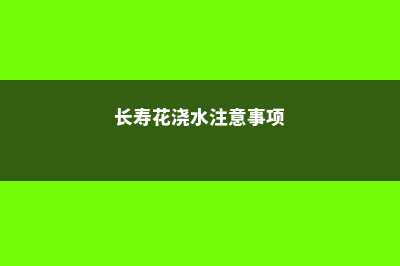 长寿花浇水浇在花上还是浇在土上，浇水多了杆发黑了怎么办 (长寿花浇水注意事项)