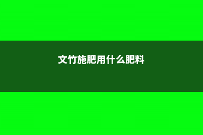 文竹施肥时间，怎样给文竹施肥 (文竹施肥用什么肥料)