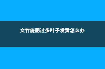 文竹施肥过多怎么处理，施肥后用浇水吗 (文竹施肥过多叶子发黄怎么办)