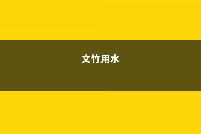 文竹浇水自来水还是纯净水，浇水是浇叶还是根 (文竹用水)