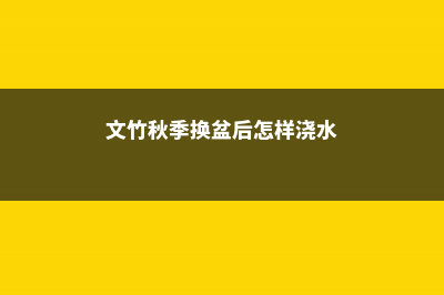 文竹换盆时间秋天可以吗，换盆注意事项 (文竹秋季换盆后怎样浇水)