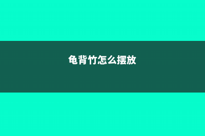 龟背竹如何安全度过冬天，龟背竹冬天怕冷吗 (龟背竹怎么摆放)