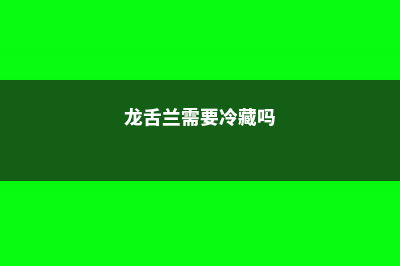 龙舌兰需要晒太阳吗，需要修剪吗 (龙舌兰需要冷藏吗)