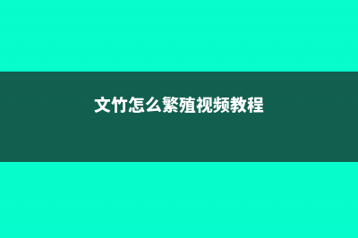 文竹怎么繁殖，文竹的图片 (文竹怎么繁殖视频教程)