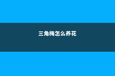 三角梅怎么养家庭养法，修剪方法图 (三角梅怎么养花)