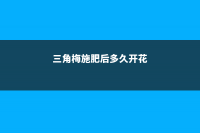 三角梅施肥后多久浇水，浇水时放点醋行吗 (三角梅施肥后多久开花)