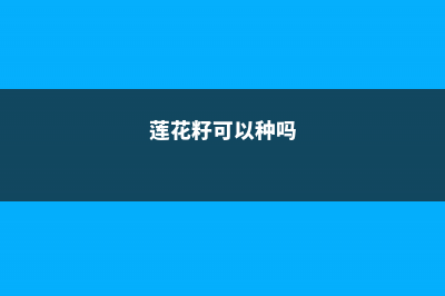 莲花能用莲子种出来吗，如何用莲子种莲花 (莲花籽可以种吗)