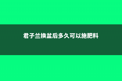 君子兰换盆后多久浇水，换盆后多久可以晒太阳 (君子兰换盆后多久可以施肥料)