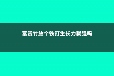 富贵竹放铁钉有什么用，富贵竹放多少水 (富贵竹放个铁钉生长力就强吗)