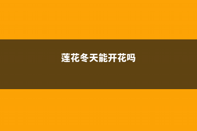 莲花如何度过冬天，莲花到冬天会死吗 (莲花冬天能开花吗)