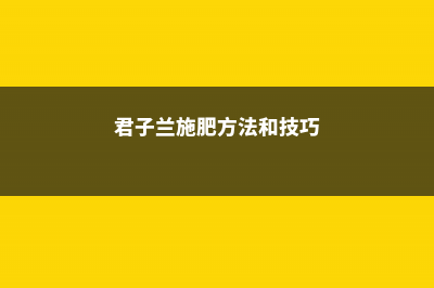 君子兰施肥方法，施什么肥能开花 (君子兰施肥方法和技巧)