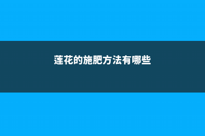 莲花的施肥方法，莲花不施肥行吗 (莲花的施肥方法有哪些)