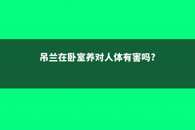 吊兰在卧室养对人身体有害吗，吊兰在家里养好不好 (吊兰在卧室养对人体有害吗?)