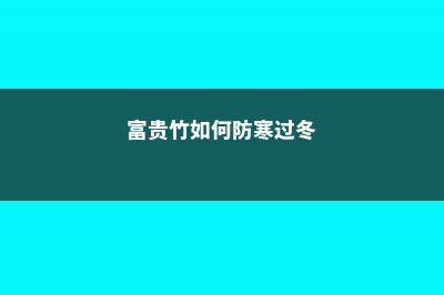 富贵竹如何防寒过冬，富贵竹过冬需要几度 (富贵竹如何防寒过冬)