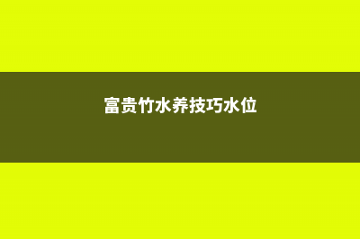 富贵竹水养技巧，水养多久能生根 (富贵竹水养技巧水位)