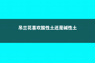 吊兰喜欢酸性还是碱性，对土壤有什么要求 (吊兰花喜欢酸性土还是碱性土)